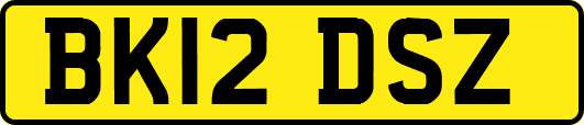 BK12DSZ