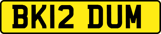BK12DUM