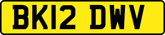 BK12DWV
