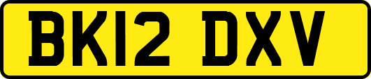 BK12DXV