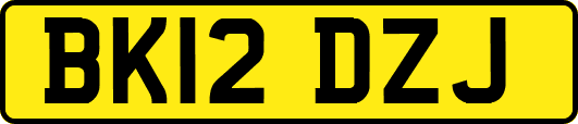 BK12DZJ
