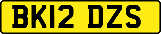 BK12DZS