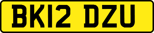 BK12DZU