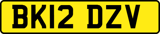 BK12DZV