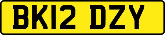 BK12DZY