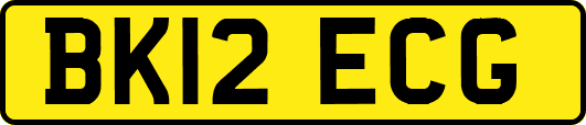 BK12ECG