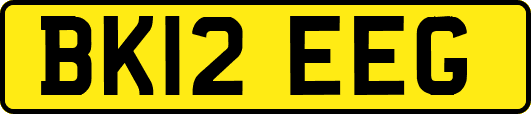 BK12EEG