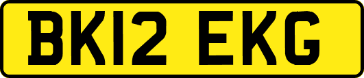 BK12EKG
