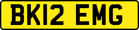 BK12EMG