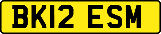 BK12ESM