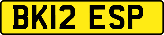 BK12ESP
