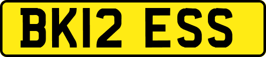 BK12ESS