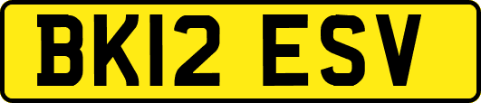 BK12ESV