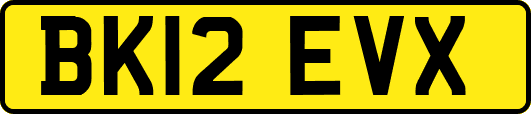 BK12EVX