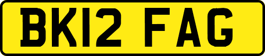 BK12FAG
