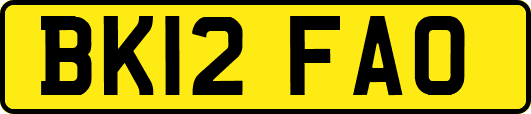 BK12FAO