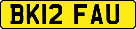 BK12FAU