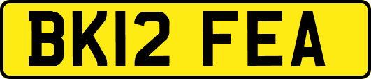 BK12FEA