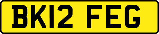 BK12FEG