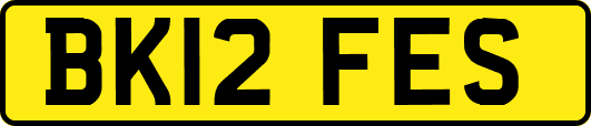BK12FES