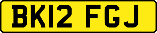 BK12FGJ