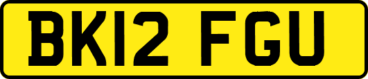 BK12FGU