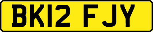 BK12FJY