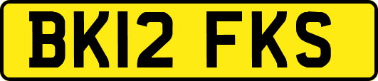 BK12FKS
