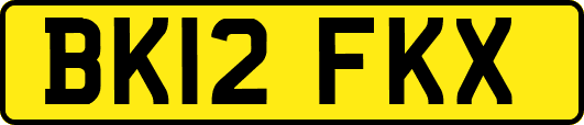 BK12FKX
