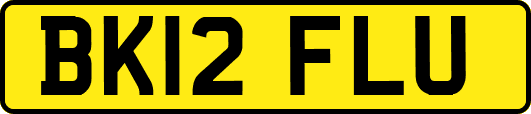 BK12FLU