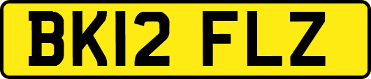 BK12FLZ