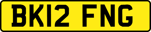 BK12FNG