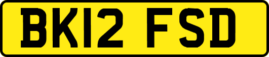 BK12FSD