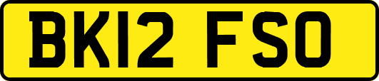 BK12FSO