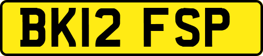 BK12FSP