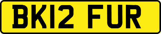 BK12FUR