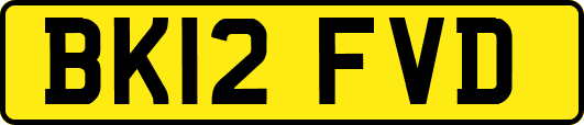 BK12FVD