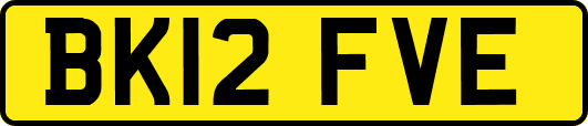 BK12FVE