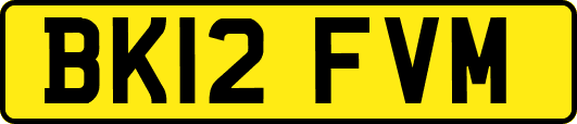 BK12FVM