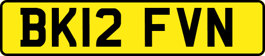 BK12FVN