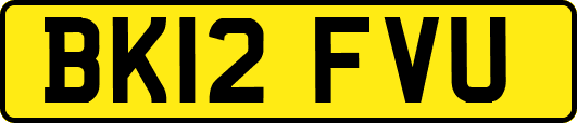BK12FVU