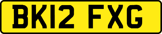 BK12FXG