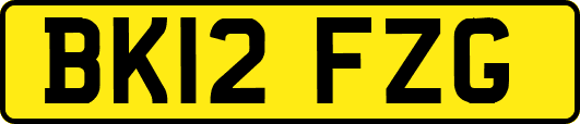 BK12FZG