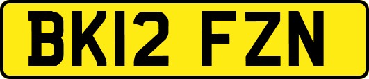 BK12FZN
