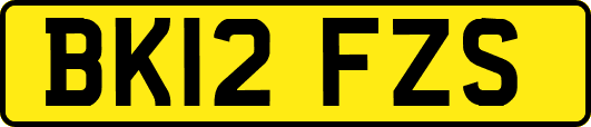 BK12FZS