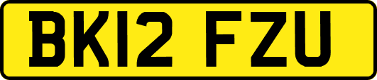 BK12FZU