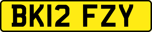 BK12FZY