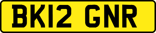BK12GNR