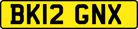 BK12GNX