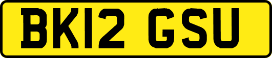 BK12GSU